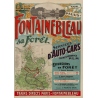 Vintage french travel poster - A.D - 1920 - Fontainebleau son palais et sa forêt - 45.87 by 29.92 inches