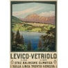 Vintage travel poster - M.Cussino - 1920 - Levico-Vertriolo-Italia-Italie - 38.6 by 27.2 inches