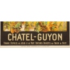 Vintage travel poster - Julien Lacaze - 1910  - Chatel Guyon France PLM - 42.1 by 30.5 inches - 3