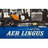 Affiche ancienne de voyage - Treidler - 1960 - Aer Lingus Etats Unis - 101.5 par 64 cm - 3