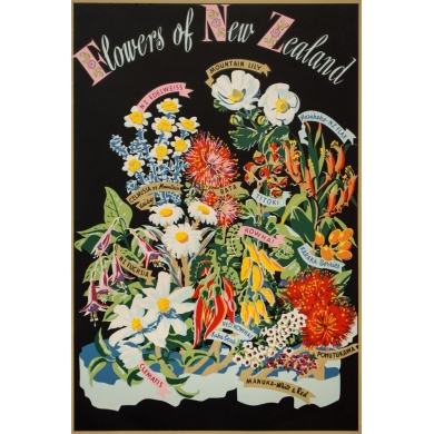 Affiche ancienne de voyage - Circa 1950 - Flowers Of New Zeland - 76 par 50.5 cm