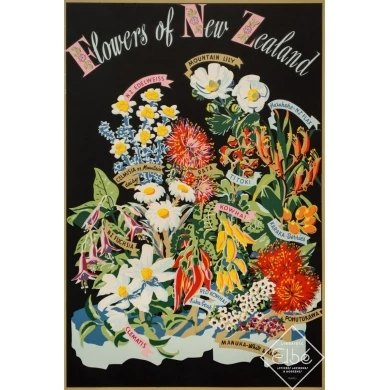 Vintage travel poster -  - Circa 1950 - Flowers Of New Zeland - 29.9 by 19.9 inches