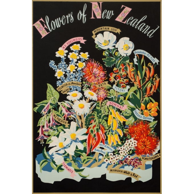 Affiche ancienne de voyage - Circa 1950 - Flowers Of New Zeland - 76 par 50.5 cm