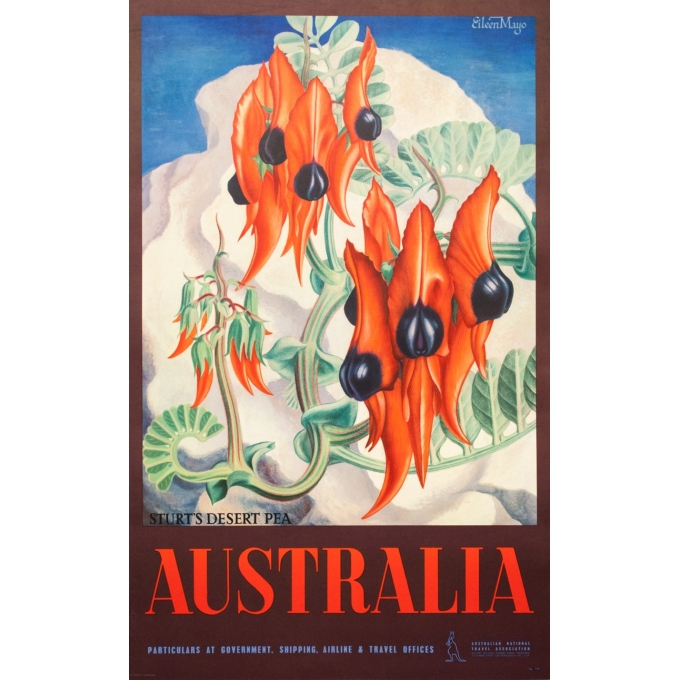 Affiche ancienne de voyage - Eileen Mayo - Circa 1950  - Australia Australie Sturt's desert pea - 101 par 63.5 cm